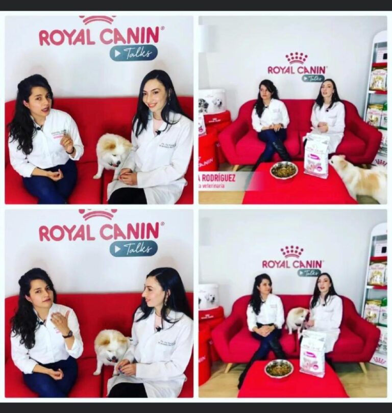 Dra Lina Rodriguez - Pet Balance - Nutrición animal (4)